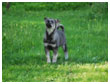Poseeraus &copy; S.Roto